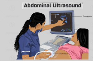 Abdominal scan